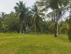 Land For Sale In Minuwangoda Devalapola