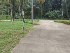 Land for sale in Minuwangoda - Devalapola