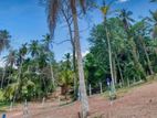 Land for Sale in Minuwangoda