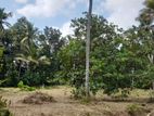 Land For Sale In Minuwangoda