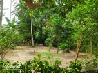 Land for Sale in Minuwangoda