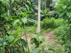 Land for Sale in Minuwangoda