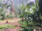 Land for Sale in Minuwangoda