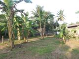 Land for Sale in Minuwangoda