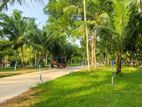 Land for Sale in Minuwangoda