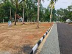Land for sale in Minuwangoda