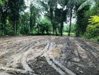 Land For Sale in Minuwangoda