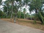 Land for Sale in Minuwangoda