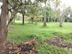 Land for Sale in Minuwangoda