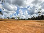 Land for Sale in Minuwangoda