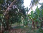 Land for Sale in Minuwangoda