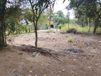 Land for Sale in Minuwangoda