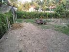 Land for Sale in Minuwangoda