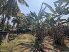 Land for Sale in Minuwangoda