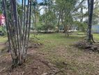 Land for sale in Minuwangoda