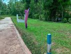 Land for Sale in Minuwangoda