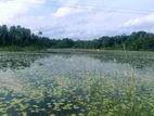 Land for Sale in Minuwangoda