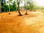 Land for Sale in Minuwangoda