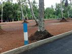 Land for sale in Minuwangoda