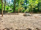 Land for Sale in Minuwangoda Kalahugoda