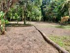 Land for Sale in Minuwangoda Kalahugoda