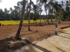 Land for Sale in Minuwangoda Nilpanagoda