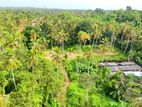 Land for sale in minuwangoda /SA 15246