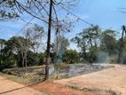 Land For Sale in Minuwangoda (SSPL-363)