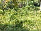 Land for Sale in Minuwangoda - Yatiyana