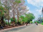 Land for Sale in Minuwangoda,T55