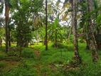 Land for Sale in Mirigama