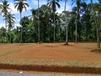 Land for Sale in Mirigama