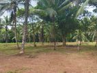 Land for Sale in Mirigama