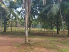 Land for Sale in Mirigama