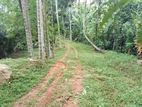 Land for Sale in Mirigama