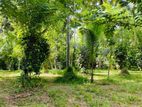 Land for Sale in Mirigama