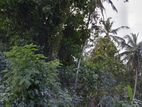 Land for Sale in Mirigama