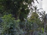 Land for Sale in Mirigama