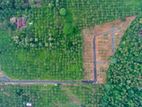 Land for sale in Mirigama