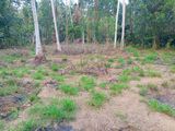 Land for Sale in Mirigama