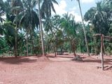 Land For Sale in Mirigama