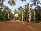 Land for Sale in Mirigama