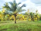 Land For Sale in Mirigama