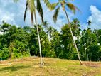 Land for sale in mirigama / RU 9781