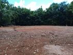 Land for Sale in Mirigama (SSPL-136)