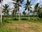 Land for sale in mirigama / UP 15313