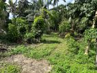 Land for Sale in Mirigama Walawwaththa