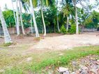 Land for Sale in Mirissa