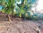 Land for Sale in Mirissa