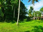 Land for Sale in Miriswaththa